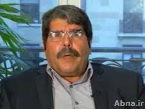 80% من عناصر ما يسمى بـ "الجيش الحر" من المتشددين والإخوان لن يصلوا إلى الحكم