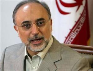 Salehi: Irán no abandonará su derecho a enriquecer uranio