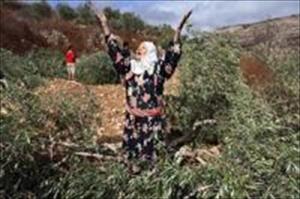Israelische Armee hat die Enteignung eines palästinensischen Bauern angeordnet