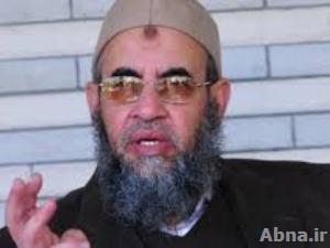 حزب النور السلفي في مصر يرفض حظر الأحزاب الدينية