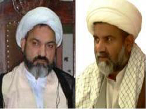 حکومت کی دہشتگردوں کے سامنے بےبسی المیے سے کم نہیں، راجہ ناصر عباس