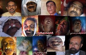 Last Month 29 Pakistani Shia Martyred by the Anti Islam Forces
