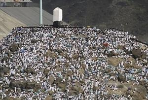 Muslim Pilgrims Flock to Arafat for Peak Hajj Day
