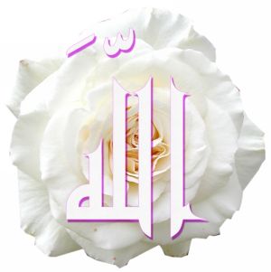 Malaisie : le mot « Allah » interdit aux non-musulmans