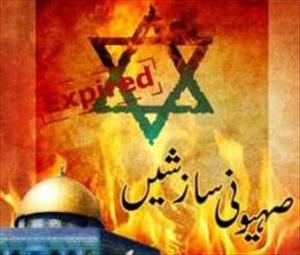اخوان المسلمین کی اقتدار سے بے دخلی، صہیونی حکومت کے اطمینان کا باعث