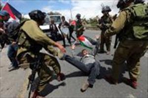 نابلس میں فلسطینیوں کی اراضی پر ناجائز قبضہ