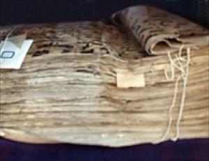Ukraine: Unique Copy of Quran Found in Volyn
