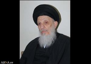 «آية الله الحكيم»: شيعة اهل البيت (ع) يتعرضون إلى محنة قاسية تتمثل بحملة إبادة قاسية