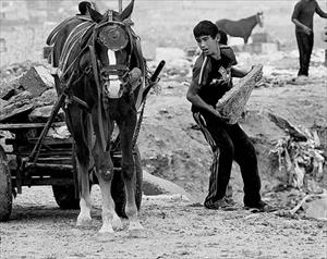 Informe Internacional dice que el Castigo Colectivo de Gaza ha Llegado a una Etapa Crítica - Incl. Informe Completo