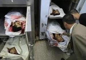 Five Palestinians killed and 250 arrested by Israeli forces in October