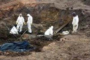 430 Leichen aus Massengrab in Bosnien geborgen