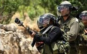 Palestinian Human Rights Center Accuses Israel of War Crime