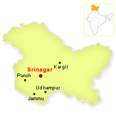 Kashmiri authorities imposed restrictions on Shia Muharram processions in Srinagar