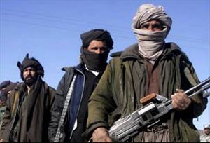 Taliban Key Commander Killed in Southern Afghan Town