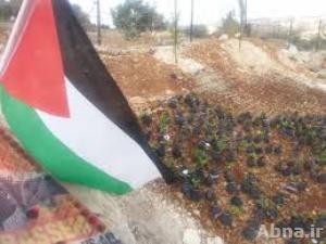 اسرائيل تعجل في بناء "الحديقة الوطنية" على اراضي الفلسطينيين في القدس