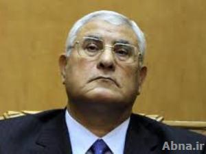 لجنة الدستور في مصر تترك للرئيس المؤقت تحديد النظام الانتخابي