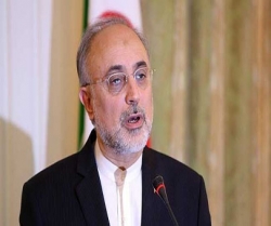 صالحی: سائنسی اور داخلی ترقی، رہبر انقلاب کی مرہون منت ہے