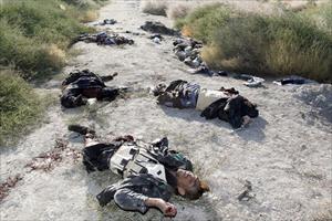 Syrian Army Eliminates Militants in Several Provinces