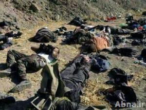 مقتل عشرات الأفغانيين والشيشان في تيارة بريف حلب