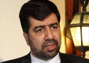 ایران خطے میں ملت فلسطین اور مزاحمت کی حمایت جاری رکھے گا: رکن آبادی
