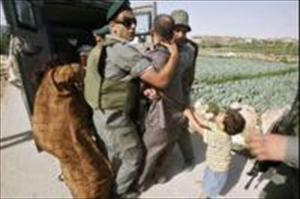 صہیونیوں کی جارحیت جاری، ‎متعدد فلسطینی اغوا