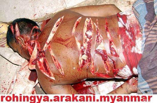 သနားစရာ ရိုဟင္ၾကာ တစ္ေယာက္ ဘာသာေရးခုတုံးလုပ္သည့္မသူေတာ္မ်ားေၾကာင့္ အသတ္ခံရ