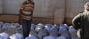 Seymour Hersh: Kimyasal katliam Nusra'nın işi
