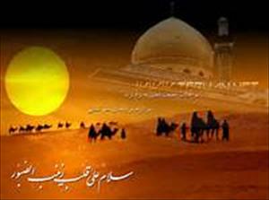 Ziyarat Sayyidah Zainab (ع)