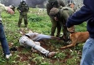 Palestinian rights groups call for stripping Israel of int'l immunity