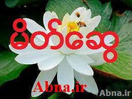 သင္ေရြးခ်ယ္သင့္ေသာ မိတ္ေဆြ