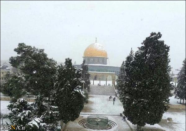 مسجد الاقصی میں برف باری/ تصویر