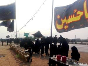 بالصور / جموع الزائرين من محافظة البصرة العراقية تواصل مسيرتها الحسينية نحو كربلاء المقدسة