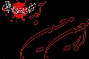 Mourning Ceremonies on Late Safar Month Planned in Hamburg