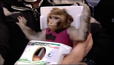 L’Iran envoie un deuxième singe dans l’espace