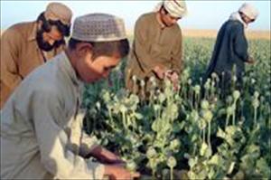 300 Tausend afghanische Kinder drogensüchtig
