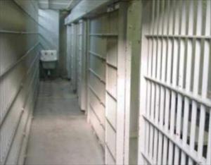 2013 Worst Human Rights Year for Saudis: Activist