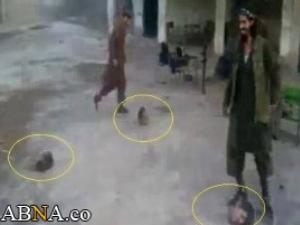 بالصور / عناصر للقاعدة في سوريا يقطعون الرؤوس ويلعبون "كرة قدم" بها !