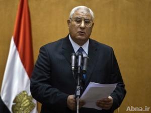 منصور يؤكد إنجاز الانتخابات البرلمانية والرئاسية في غضون 6 أشهر بعد إقرار الدستور