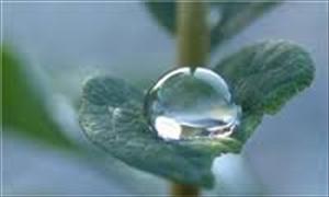 Bir Müslümanın Bilmesi Gereken Farzlar ve Haramlar