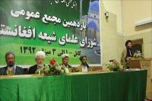 کابل، واشنگٹن معاہدہ، شیعہ علماء بھی مخالف