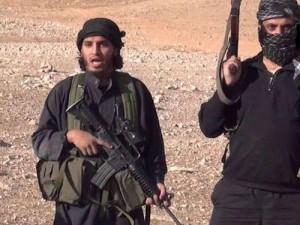 ابو ريشة يعلن مقتل 62 من عناصر القاعدة الارهابية
