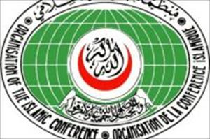 Призыв к ОИС сыграть эффективную роль в Афганистане