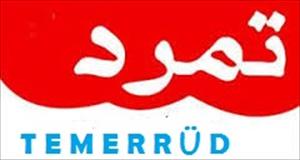 Temerrud Darbe Yönetimini Devirmeyi Başarabilir mi?