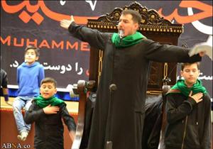 تصویری رپورٹ/ سویڈش کے امام علی(ع) اسلامی مرکز میں ۲۸ صفر کے مراسم عزا