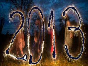 2013 کے اہم واقعات