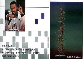Ethiopian Poet’s Devotion to Imam Khomeini (RA)