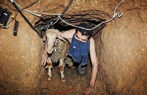2013, el peor año para la economía palestina