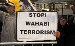 Pakistani doctors observe strike over Shia killings