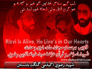 گلگت، شہید آغا ضیاء الدین رضوی (رہ) کی 9ویں برسی کے سلسلے میں اجتماعات کا سلسلہ جاری