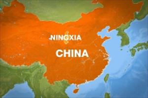 反思西吉踩踏事件是穆斯林不可回避的责任